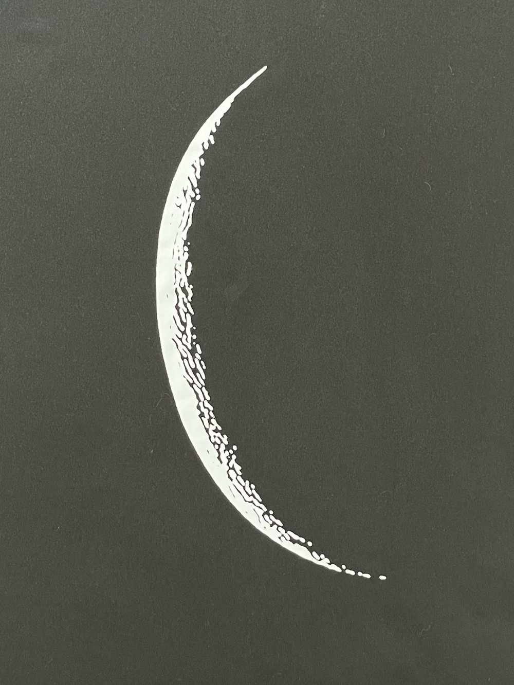 🌘 SHEIN Black T-shirt w/ White Crescent Moon Graphic | Women’s Sz Sm - Picture 4 of 6